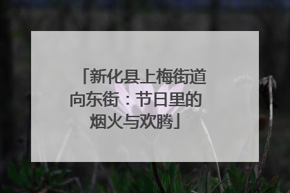 新化县上梅街道向东街：节日里的烟火与欢腾