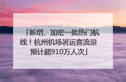 新增、加密一批热门航线！杭州机场暑运客流量预计超910万人次