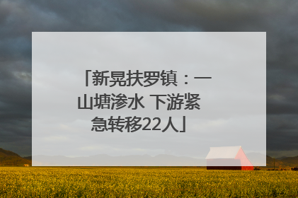 新晃扶罗镇：一山塘渗水 下游紧急转移22人