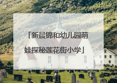 新晨锦和幼儿园萌娃探秘莲花街小学