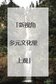 新视角 多元文化壁上观