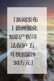 新闻发布丨德州强化知识产权司法保护 五年挽损超930万元