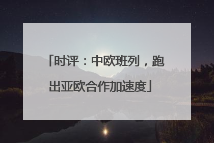 时评：中欧班列，跑出亚欧合作加速度