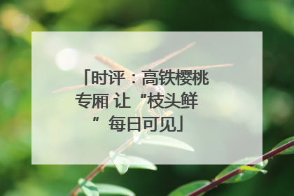 时评：高铁樱桃专厢 让“枝头鲜”每日可见