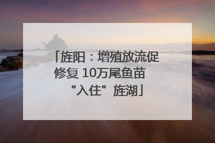 旌阳：增殖放流促修复 10万尾鱼苗“入住”旌湖
