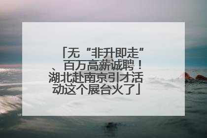 无“非升即走”、百万高薪诚聘！湖北赴南京引才活动这个展台火了