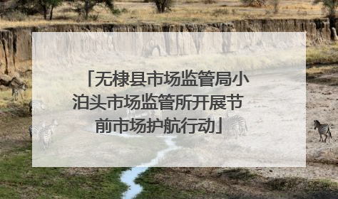 无棣县市场监管局小泊头市场监管所开展节前市场护航行动