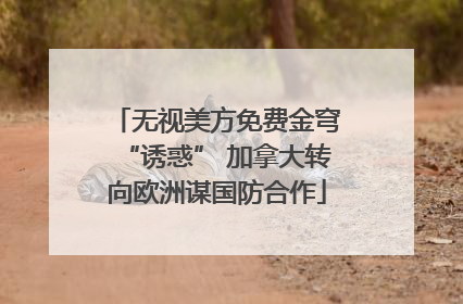 无视美方免费金穹“诱惑” 加拿大转向欧洲谋国防合作