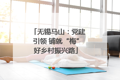 无锡马山：党建引领 铺就“梅”好乡村振兴路