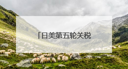 日美第五轮关税谈判“没谈拢”