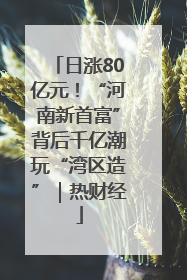 日涨80亿元！“河南新首富”背后千亿潮玩“湾区造”｜热财经