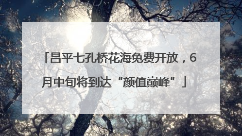 昌平七孔桥花海免费开放，6月中旬将到达“颜值巅峰”