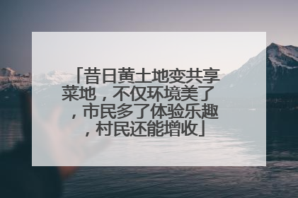 昔日黄土地变共享菜地，不仅环境美了，市民多了体验乐趣，村民还能增收