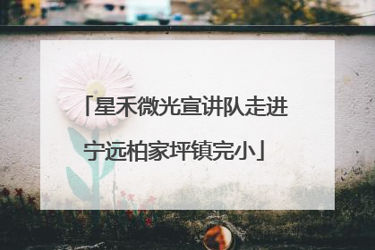 星禾微光宣讲队走进宁远柏家坪镇完小