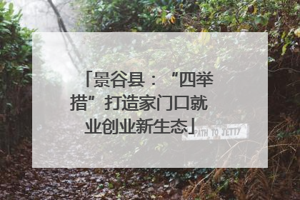 景谷县：“四举措”打造家门口就业创业新生态