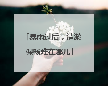 暴雨过后，清淤保畅难在哪儿
