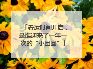 暑运时间开启，是谁迎来了一年一次的“小团圆”