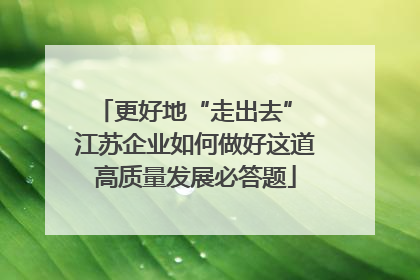 更好地“走出去” 江苏企业如何做好这道高质量发展必答题