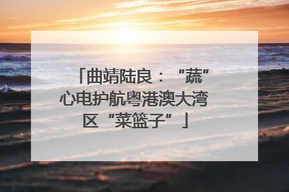 曲靖陆良：“蔬”心电护航粤港澳大湾区“菜篮子”