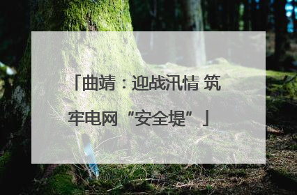曲靖：迎战汛情 筑牢电网“安全堤”