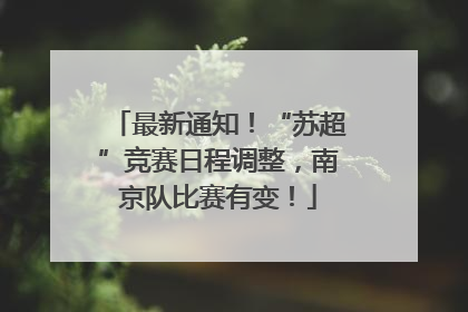 最新通知！“苏超”竞赛日程调整，南京队比赛有变！