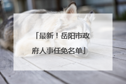 最新！岳阳市政府人事任免名单