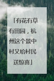 有花有草有田园，杭州这个景中村又给村民送惊喜