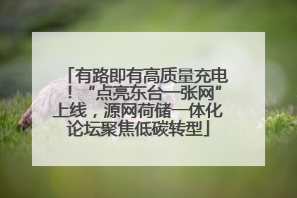 有路即有高质量充电！“点亮东台一张网”上线，源网荷储一体化论坛聚焦低碳转型