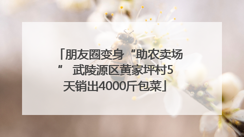 朋友圈变身“助农卖场” 武陵源区黄家坪村5天销出4000斤包菜