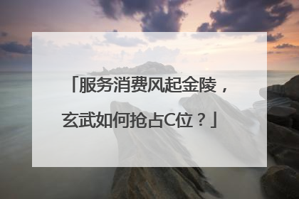 服务消费风起金陵，玄武如何抢占C位？