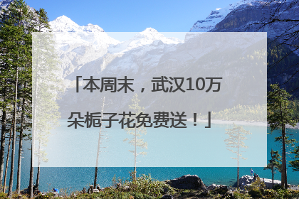 本周末，武汉10万朵栀子花免费送！