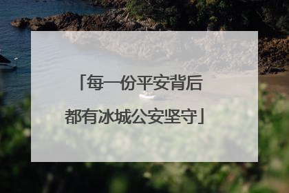每一份平安背后 都有冰城公安坚守
