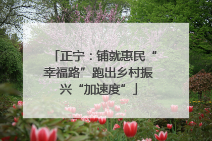 正宁：铺就惠民“幸福路”跑出乡村振兴“加速度”