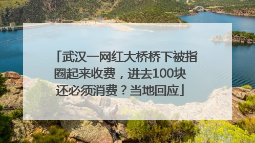 武汉一网红大桥桥下被指圈起来收费，进去100块还必须消费？当地回应