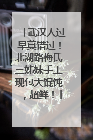 武汉人过早莫错过！北湖路梅氏三姊妹手工现包大馄饨，超鲜！