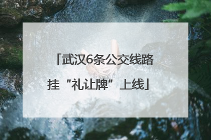 武汉6条公交线路挂“礼让牌”上线