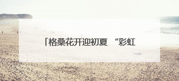 格桑花开迎初夏 “彩虹公路”绘锦绣 德兴以生态之笔绘就宜居幸福图景