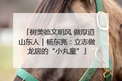 树美德文明风 做厚道山东人｜杨东亮：立志做龙居的“小丸童”