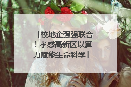 校地企强强联合！孝感高新区以算力赋能生命科学