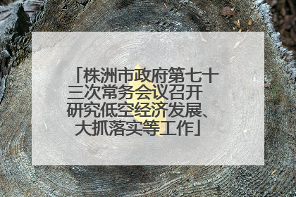 株洲市政府第七十三次常务会议召开 研究低空经济发展、大抓落实等工作