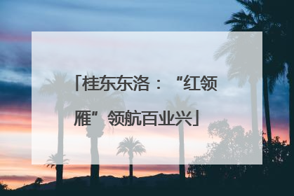 桂东东洛：“红领雁”领航百业兴