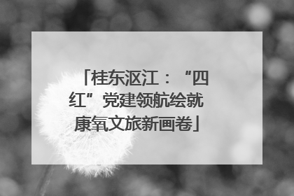 桂东沤江：“四红”党建领航绘就康氧文旅新画卷