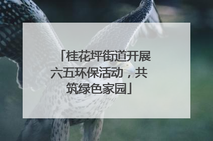 桂花坪街道开展六五环保活动，共筑绿色家园