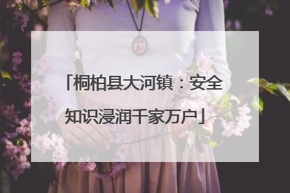 桐柏县大河镇：安全知识浸润千家万户