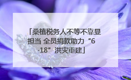 桑植税务人不等不靠显担当 全员捐款助力“6·18”洪灾重建