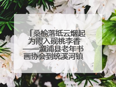 桑榆落纸云烟起 为霞入砚桃李香——溆浦县老年书画协会到统溪河镇学校开展书画进校园活动