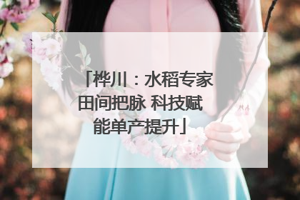 桦川：水稻专家田间把脉 科技赋能单产提升