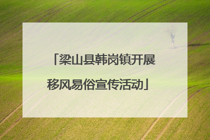 梁山县韩岗镇开展移风易俗宣传活动