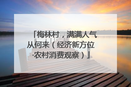 梅林村，满满人气从何来（经济新方位·农村消费观察）