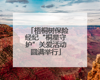 梧桐树保险经纪“桐星守护”关爱活动圆满举行
